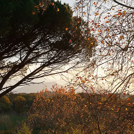 Bed and breakfast Maison D'hote Iparra- Pays Basque Arcangues