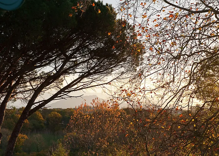 Nocleg ze śniadaniem Maison D'hote Iparra- Pays Basque Arcangues